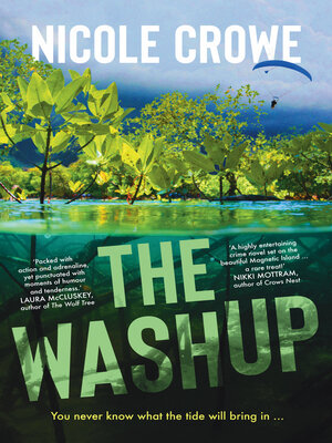 cover image of The Washup